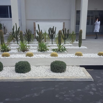 Pot GRAND format pour arbre Pot GRAND format pour arbre